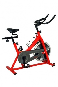 Sunny SF-B1001 Indoor Cycling Bike