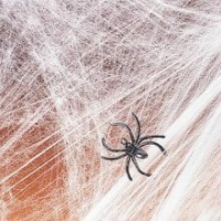 HALLOWEEN SPIDER WEBS & WEBBING + Spiders - 3 Pack