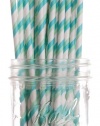 Dress My Cupcake Aqua and Green Striped Paper Straws, 25-Pack