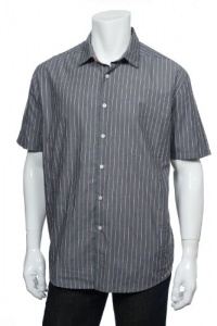 American Rag Stadium Grey (Gray with white and red) Vertical Stripes SS Button Down Shirt