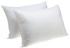 Carpenter Jumbo Sham Stuffer Pillow, Set of 2