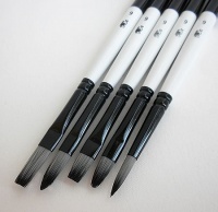 Artists Acrylic Brushes- Set of 5 by Winsor & Newton