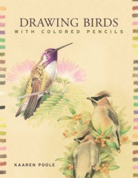 Drawing Birds with Colored Pencils