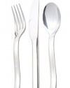 Christofle Stainless Steel Tenere Tablespoon 2415-002