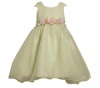 Bonnie Jean Light Green Dress Size 2T Pink Rose Easter Toddler Girl