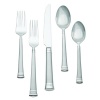 Waterford Carina Matte 18/10 Stainless Steel 5-Piece Place Setting, Service for 1