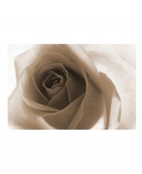 Get a rosier perspective with Leftbank's impressive canvas print of a rose in all its stunning detail. The elegant sepia wash compliments many interior styles and color schemes, making this Leftbank print a classic home accent.