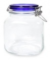 Bormioli Rocco Fido Square Jar with Blue Lid, 25-1/4-Ounce