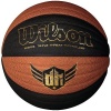 Wilson Derrick Rose Wave Composite Indoor and Outdoor Basketball (29.5-Inch)