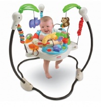 Fisher-Price Luv U Zoo Jumperoo