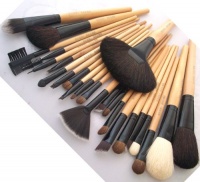 BOSTON WORLD Black 24 PCS Professional Makeup Brush Set Include Free Pouch