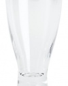 iittala Tapio 10-Ounce Clear Goblet, Set of 2