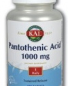 Pan Acid (Pantothenic Acid) 1000mg Timed Release - 100 - Sustained Release Tablet