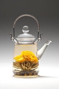 Tea Beyond Heat Resistant Glass Teapot Duo 16-Ounce