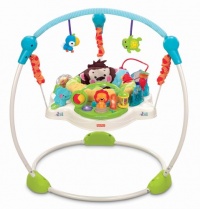 Fisher-Price Precious Planet  Blue Sky Jumperoo