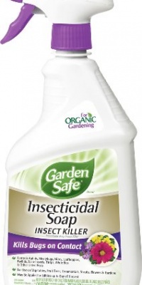 Garden Safe Insecticidal Soap Insect Killer 24-Ounce Ready To Use Spray 10424X