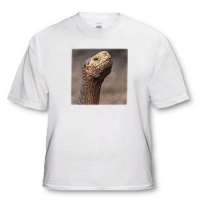 Ecuador, Galapagos Islands, Giant tortoise - SA07 MDE0199 - Michael DeFreitas - Youth T-Shirt XS(2-4)