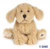 Webkinz Labradoodle