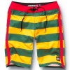 Quiksilver Cypher Brigg Boardshorts