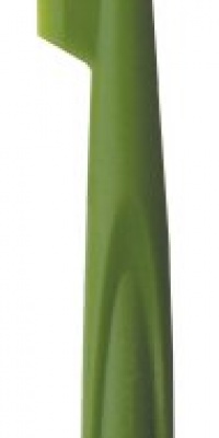 iSi Basics Silicone Slim Spatula, Wasabi