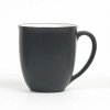 Noritake Colorware Graphite Mug