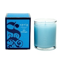 Blue hydrangea and Casablanca lily are combined with the bold essence of Persian melon and fresh aquatic notes. Votive Candle burns approximately 20 hours.