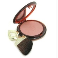 Terracotta Blush & Sun Sheer Bronzing Blush - # 01 Sun Light - 5.5g/0.19oz