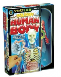 Smart Lab  Squishy You Explore It Human Body