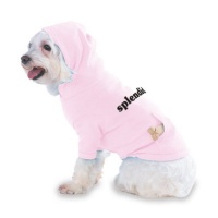 splendid Hooded (Hoody) T-Shirt with pocket for your Dog or Cat Medium Lt Pink