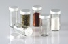 Glass Spice Jars- Set of Six Glass Spice Bottles