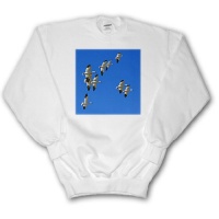 Snow Geese, Birds, Bosque Del Apache, New Mexico - US32 AJE0001 - Adam Jones - Adult SweatShirt Large