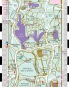 Streetwise Central Park Map - Laminated Pocket Map of Central Park, New York - Folding wallet size map for travel