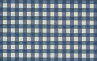 French Check Blue Check Rug Rug Size: Runner 2'9 x 7'10