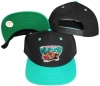 Vancouver Grizzlies Black/Teal Two Tone Snapback Adjustable Plastic Snap Back Hat / Cap