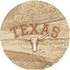 Thirstystone Natural Sandstone Set of 4 Coasters University of Texas