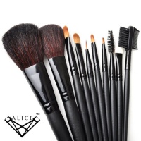 Alice Makeup 10pcs. Professional Brush Set With Nylon Pouch --Black, Gift idea