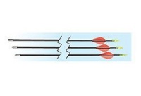 Allen Company 26-Inch Fiberglass Youth Arrows (3 Pack)