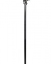 Vampire Cane (Silver/Black) Accessory