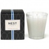 NEST Fragrances Periwinkle Hyacinth Classic Candle