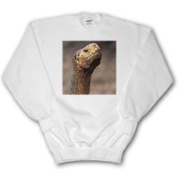 Ecuador, Galapagos Islands, Giant tortoise - SA07 MDE0199 - Michael DeFreitas - Youth SweatShirt XS(2-4)