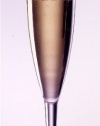 Classic 6 Oz. Unbreakable Polycarbonate Plastic Fluted Champagne Glass (each)