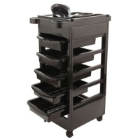 Salon SPA Trolley Storage Cart Coloring Beauty Salon Rollabout Hair Dryer Holder