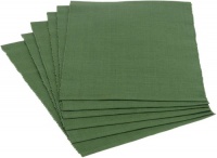 DII Everyday Basic Placemat Set of 6, Vineyard Green