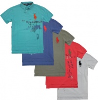 Polo Ralph Lauren Custom-Fit Printed Big Pony Polo