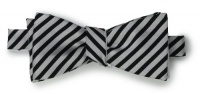 Countess Mara Men's Reversible Stripe Bow Tie