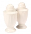 Mikasa Italian Countryside White Stoneware Salt and Pepper Set