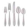 Lenox Butterfly Meadow 5-Piece Stainless Steel Place Setting, Service for 1