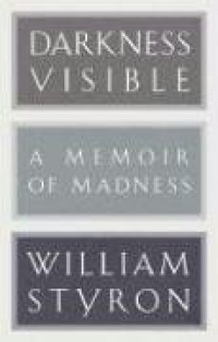 Darkness Visible: A Memoir of Madness