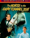 Horse in Gray Flannel Suit [VHS]