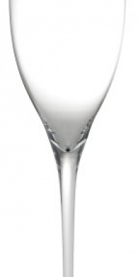 Riedel Sommeliers Black Tie Champagne Glass, Packed in a Gift Tube